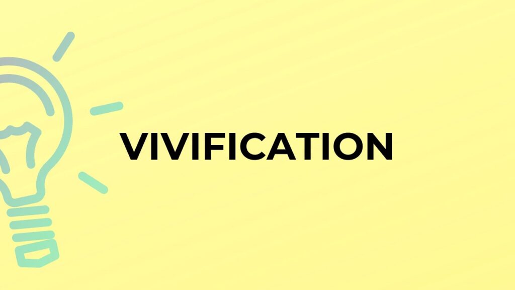The Significance Of Vivification For Fans 