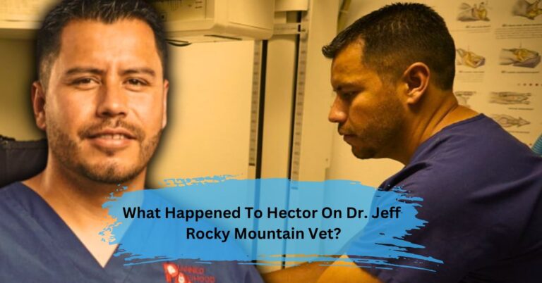 What Happened To Hector On Dr. Jeff Rocky Mountain Vet